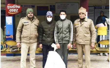 Roorkee:- आधी रात पुलिस का बड़ा एक्शन, गोकशी की वारदात नाकाम—दो आदतन तस्कर गिरफ्तार, एक गाय बरामद..
